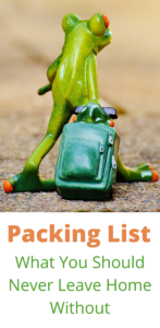 Simply see the world packing list